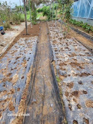 이훈정(시몬)님의 자유주제 · 자유게시판 작성글 사진