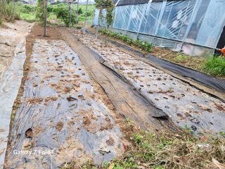 이훈정(시몬)님의 자유주제 · 자유게시판 작성글 사진