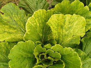 표고버섯8964님의 더운 가을, 농사 괜찮으신가요? · 참여글 작성글 사진