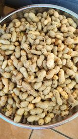 팜모닝 배추·영농일지 게시글 이미지