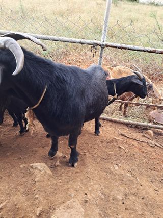 김석현님의 자유주제 · 자유게시판 작성글 사진