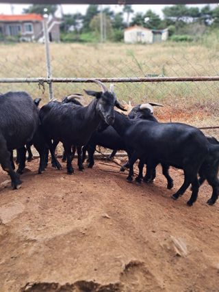 김석현님의 자유주제 · 자유게시판 작성글 사진