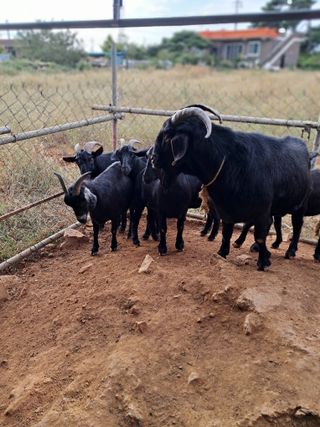김석현님의 자유주제 · 자유게시판 작성글 사진