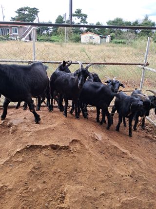 김석현님의 자유주제 · 자유게시판 작성글 사진