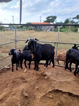 김석현님의 자유주제 · 자유게시판 작성글 사진