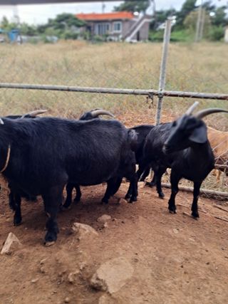 김석현님의 자유주제 · 자유게시판 작성글 사진