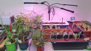 이상걸님의 팜모닝 · 출석 작성글 사진