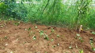 이상걸님의 팜모닝 · 출석 작성글 사진