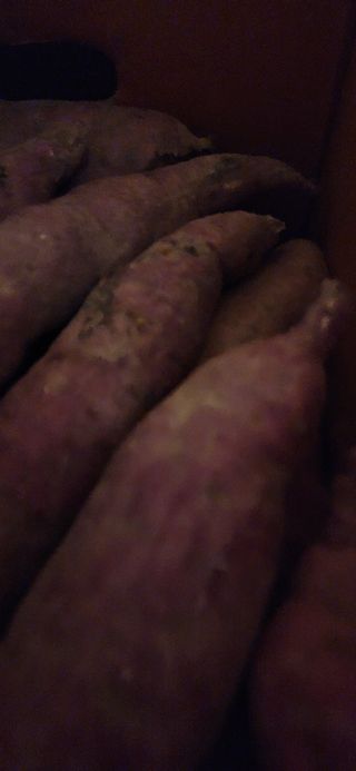 양배추14183님의 고구마 · 영농일지 작성글 사진