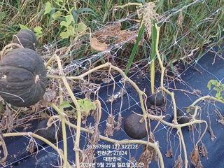 윤기현님의 자유주제 · 자유게시판 작성글 사진