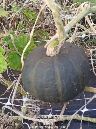 윤기현님의 자유주제 · 자유게시판 작성글 사진