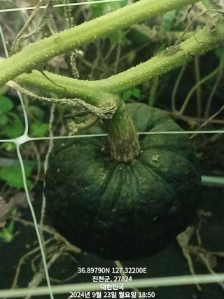 윤기현님의 자유주제 · 자유게시판 작성글 사진