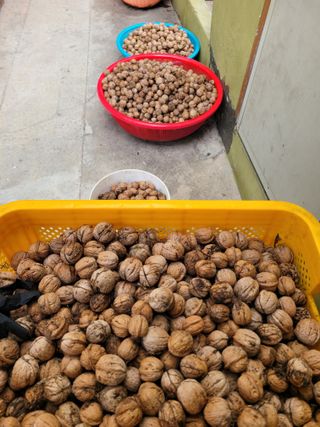 정홍님의 기타작물 · 영농일지 작성글 사진