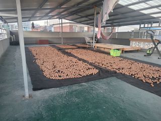 정홍님의 기타작물 · 영농일지 작성글 사진