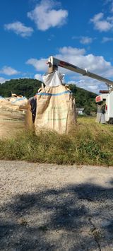 팜모닝 자유주제·자유게시판 게시글 이미지