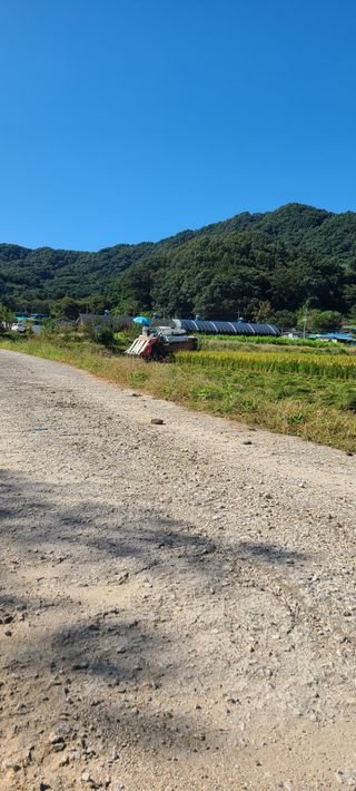 Mmebaik님의 자유주제 · 자유게시판 작성글 사진