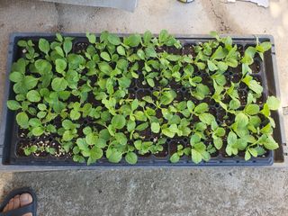 딸기15519님의 자유주제 · 자유게시판 작성글 사진