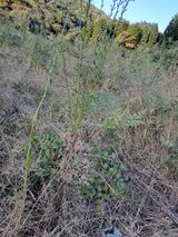 팜모닝 자유주제·자유게시판 게시글 이미지