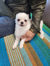 팜모닝 자유주제·자유게시판 게시글 이미지