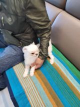 팜모닝 자유주제·자유게시판 게시글 이미지