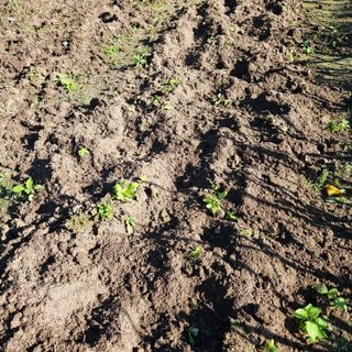 김해열님의 자유주제 · 자유게시판 작성글 사진