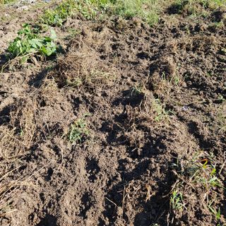 김해열님의 자유주제 · 자유게시판 작성글 사진