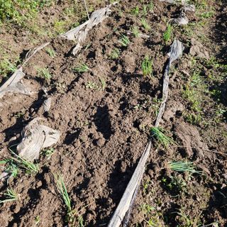 김해열님의 자유주제 · 자유게시판 작성글 사진