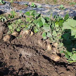 김해열님의 자유주제 · 자유게시판 작성글 사진