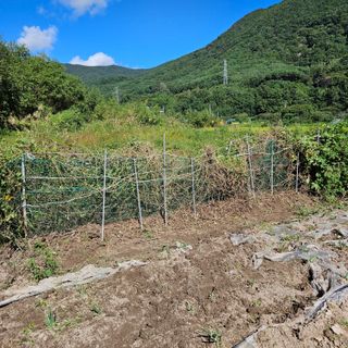 김해열님의 자유주제 · 자유게시판 작성글 사진