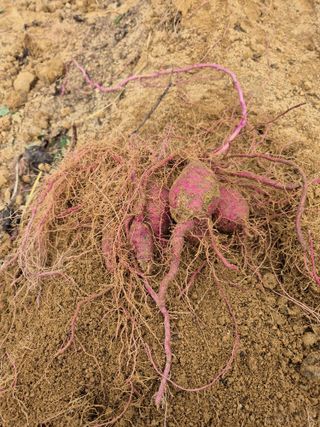 참깨10143님의 자유주제 · 자유게시판 작성글 사진