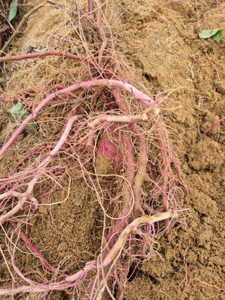 참깨10143님의 자유주제 · 자유게시판 작성글 사진