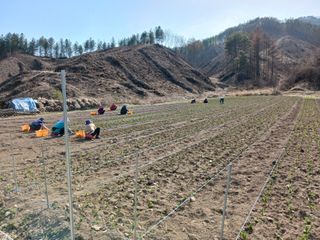 황덕순 님의 기타작물 · 영농일지 작성글 사진