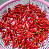 팜모닝 자유주제·자유게시판 게시글 이미지