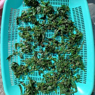 알 수 없음님의 자유주제 · 자유게시판 작성글 사진