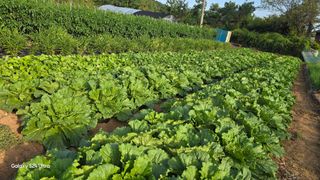 홍성부님의 자유주제 · 자유게시판 작성글 사진