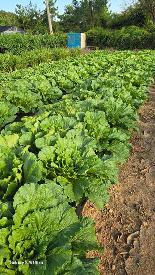 홍성부님의 자유주제 · 자유게시판 작성글 사진