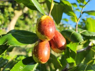 신정식 님의 작성글 사진