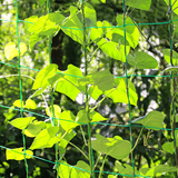 팜모닝 · 게시글 이미지