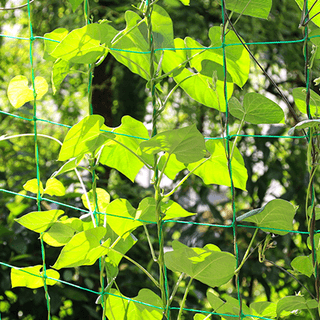 유니즈님의 작성글 사진
