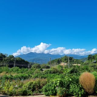 훈&팜님의 더운 가을, 농사 괜찮으신가요? · 참여글 작성글 사진
