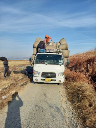 달콤한메론님의 작성글 사진