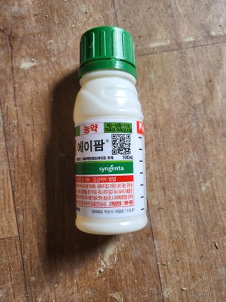 단감님의 배추 · 영농일지 작성글 사진