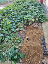 팜모닝 자유주제·자유게시판 게시글 이미지