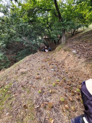 홍가네수정농장님의 기타작물 · 영농일지 작성글 사진