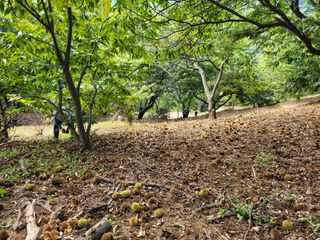 홍가네수정농장님의 기타작물 · 영농일지 작성글 사진