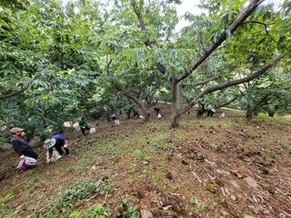홍가네수정농장님의 기타작물 · 영농일지 작성글 사진