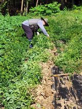 팜모닝 자유주제·자유게시판 게시글 이미지