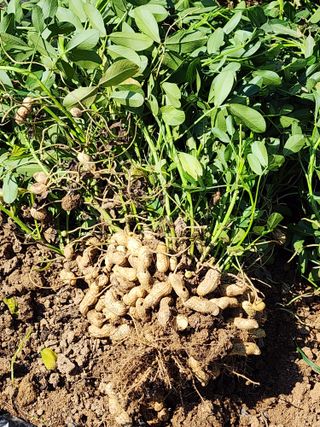 옥수수14789님의 자유주제 · 자유게시판 작성글 사진