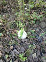 팜모닝 자유주제·자유게시판 게시글 이미지