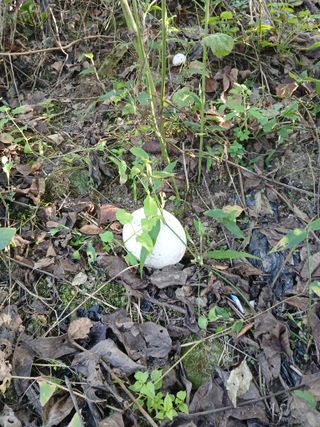 감19765님의 자유주제 · 자유게시판 작성글 사진
